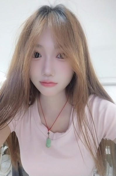 被窝探险家的主图